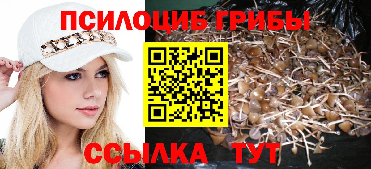 Галлюциногенные грибы GOLDEN TEACHER  Вход с VPN  Пушкино  Галлюциногенные грибы мицелий 