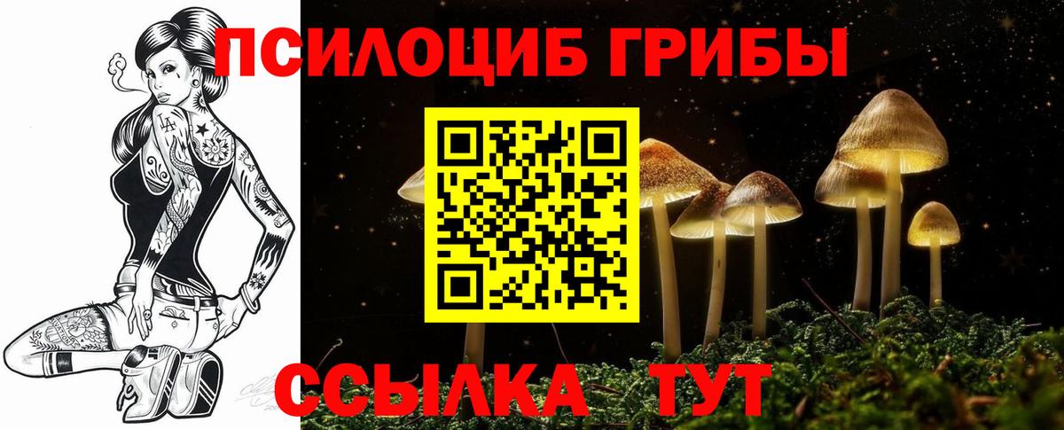 Псилоцибиновые грибы Cubensis Пушкино
